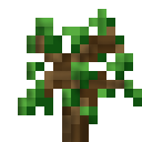 oak_sapling (2)