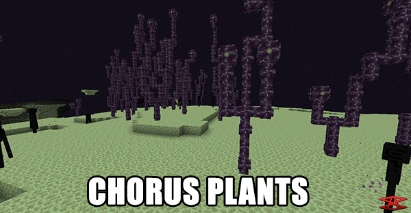chorus-plants