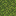 Jungle biome texture